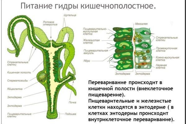 Как вывести деньги с кракена маркетплейс