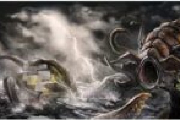 Kraken19 at