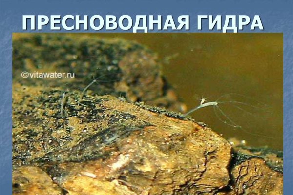 Кракен ссылка оригинал