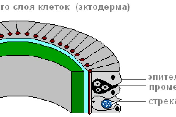 Кракен даркнет слушать