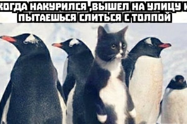 Вход в кракен