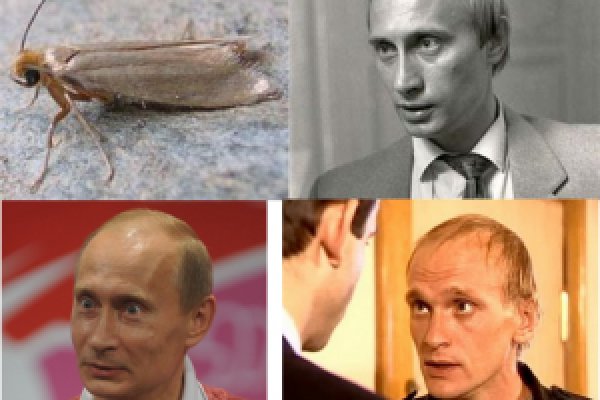 Даркнет официальный сайт на русском