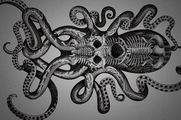 Kraken ссылка актуальная