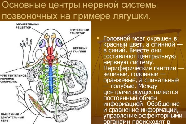 Кракен новый сайт