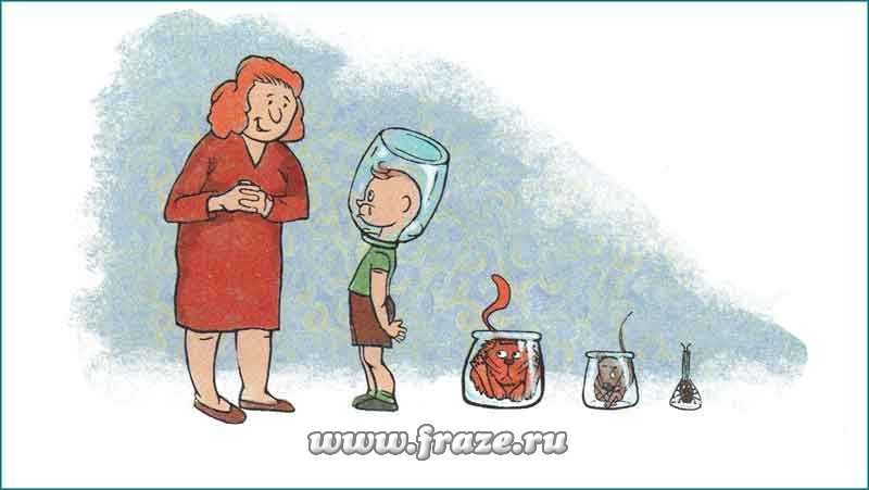 Кракен зеркала официальные
