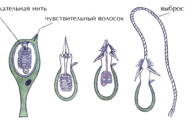Кракен сайт ссылка