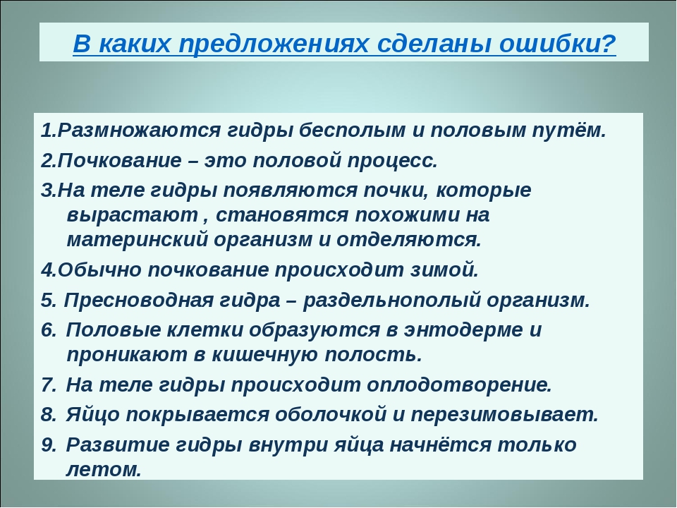 Магазин наркоты
